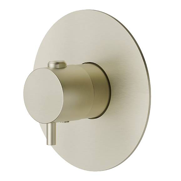 Термостатический смеситель встраиваемый Newform X-Steel 316 67670EX.59.098 pale gold