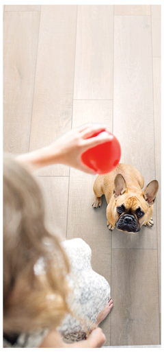 Rocko R071 Хрустальный берег SO 1210 х 192 Rocko R071 Хрустальный берег SO 1210 х 192