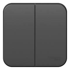 Выключатель 2-кл. ОП Blanca 10А IP20 (сх. 5) 250В с изолир. пластиной антрацит SE BLNVA105016 Выключатель 2-кл. ОП Blanca 10А IP20 (сх. 5) 250В с изолир. пластиной антрацит SE BLNVA105016