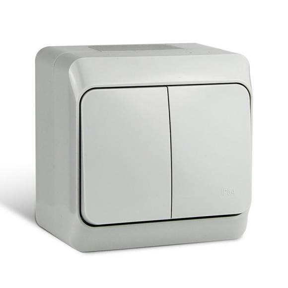 Выключатель 2-кл. ОП Nix 10А IP54 250В сер. TOKOV ELECTRIC TKE-NX-V2-C06-IP54 Выключатель 2-кл. ОП Nix 10А IP54 250В сер. TOKOV ELECTRIC TKE-NX-V2-C06-IP54