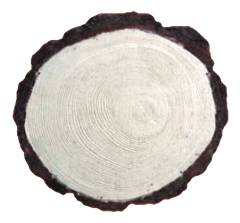 Тротуарная плитка "Пенек" 450*400*45мм