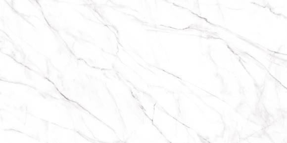 Керамогранит Alma Ceramica Neo Calacatta GFU60120NCL07R 60x120 серый