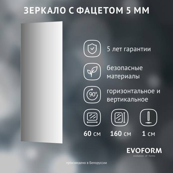 Зеркало Evoform Standard BY 0256 60x160 60x160