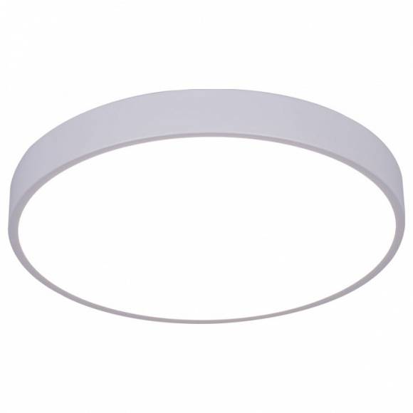 Накладной светильник Arte Lamp Arena A2661PL-1WH
