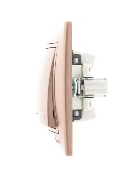 Выключатель 1-кл. СП Mira 10А IP20 с подсветкой со вставкой свет. корич. перламутр. LEZARD 701-3131-111 Выключатель 1-кл. СП Mira 10А IP20 с подсветкой со вставкой свет. корич. перламутр. LEZARD 701-3131-111