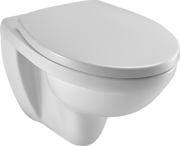 Унитаз подвесной Jacob Delafon Patio EDV102-00, безободковый, с крышкой Patio E4267
