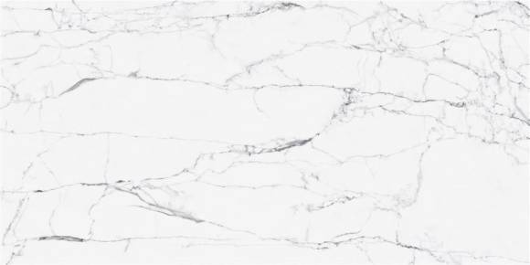 Керамогранит VitrA CityMarble 60x120 статуарио венато