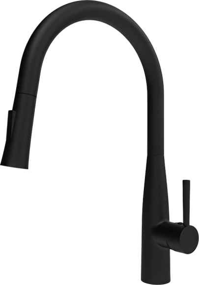 Смеситель для кухни Raiber Graceful RPB-011 черный