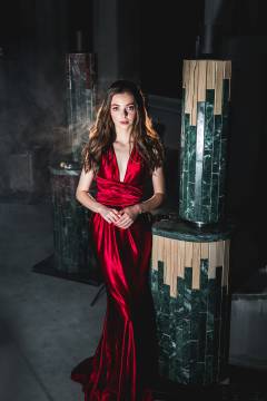 Печь для бани Ферингер ПФ 'До 28 м3' Оптима Змеевик + Окаменевшее дерево