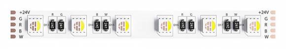Лента светодиодная Arte Lamp TAPE A2406012-01-RGB4K