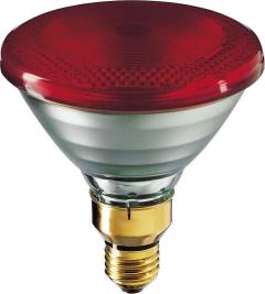 Лампа накаливания инфракрасная IR175R PAR38 230В E27.1CT/12 PHILIPS 923801444210 Лампа накаливания инфракрасная IR175R PAR38 230В E27.1CT/12 PHILIPS 923801444210