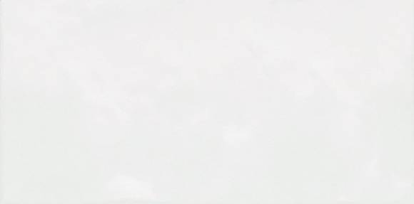 Плитка настенная Alma Ceramica Monocolor TWU09MNR030 глянцевая 24,9x50 белая