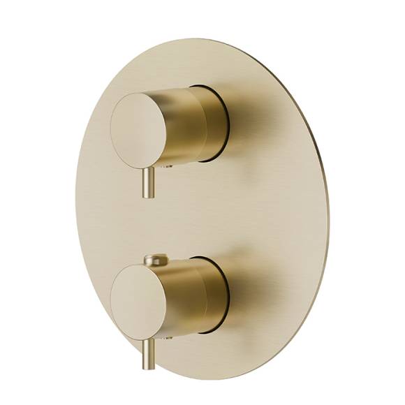 Термостатический смеситель встраиваемый Newform X-Steel 316 69663EX.59.098 pale gold